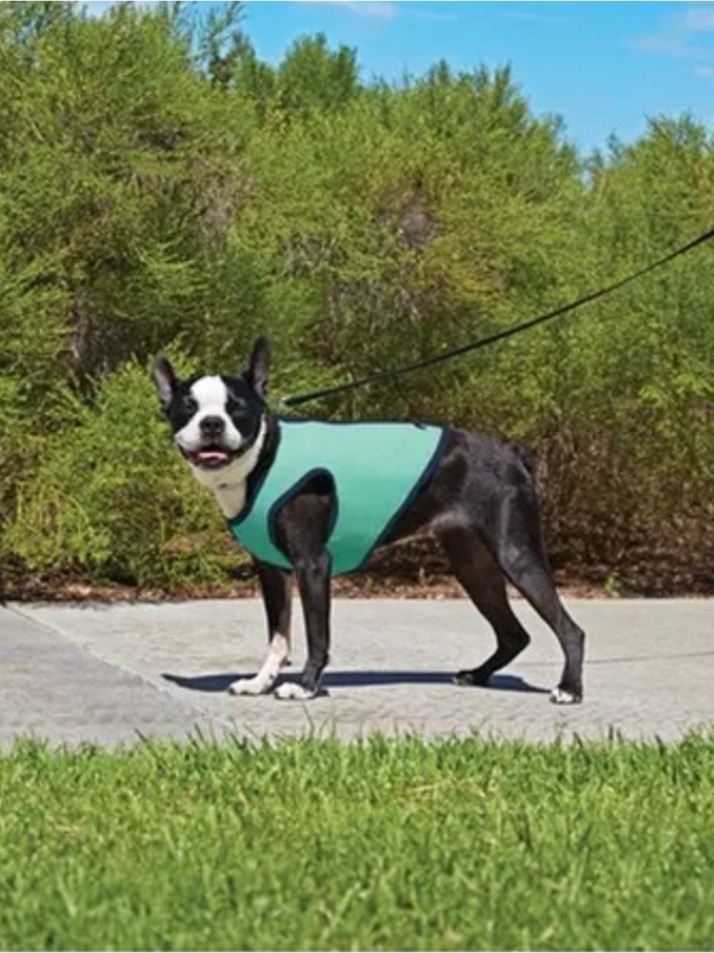 Dog Cooling Vest Good2Go Water Activated Size Small Breed Blue New Never Worn